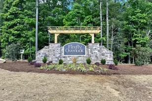 316 Firefly Overlook, Pittsboro, NC 27312 - Photo 97