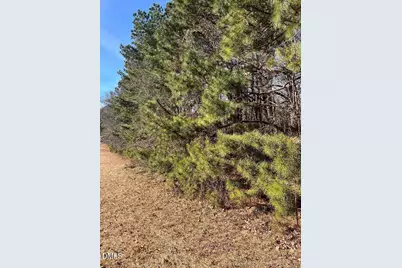 204 Fairhaven Street, Apex, NC 27539 - Photo 3