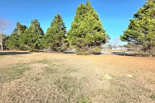 35 Sallie Dr, Smithfield, NC 27577 - Photo 59