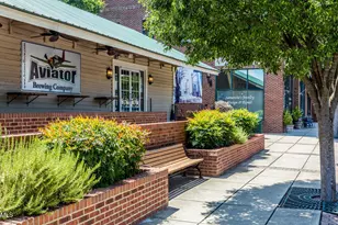 2915 Denson Rd, Willow Springs, NC 27592 - Photo 21