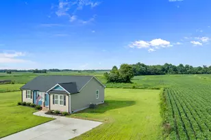 115 Adds Rd, Pikeville, NC 27863 - Photo 5