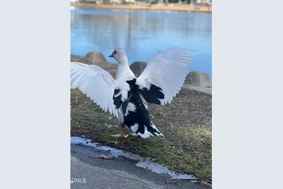 68 Muskogee Road, Angier, NC 27501 - Photo 31