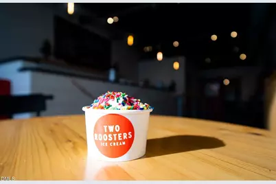 1005 Addison Place, Raleigh, NC 27610 - Photo 41