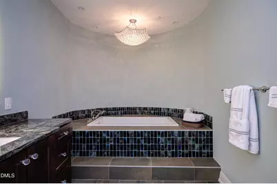 335 W Barbee Chapel Road, Chapel Hill, NC 27517 - Photo 41
