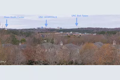 335 W Barbee Chapel Road, Chapel Hill, NC 27517 - Photo 3