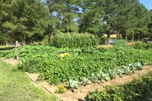 1457 Altamahaw Union Ridge Rd, Burlington, NC 27217 - Photo 43