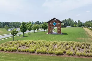 325 Tumbling River Dr, Wendell, NC 27591 - Photo 35