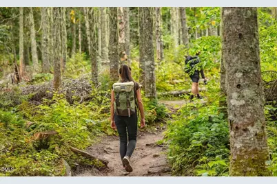 74 Floating Bridge Trail, Lillington, NC 27546 - Photo 5