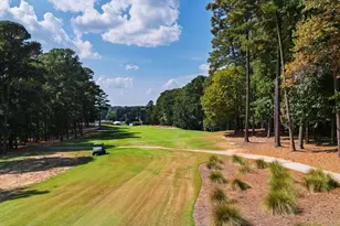 302 Annandale Dr, Cary, NC 27511 - Photo 93