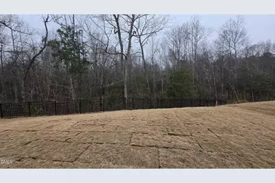 1013 Red Finch Way, Angier, NC 27501 - Photo 27