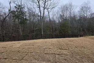 1013 Red Finch Wy, Angier, NC 27501 - Photo 27