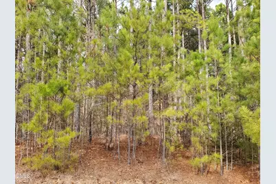 36 Rosefield Court, Pittsboro, NC 27312 - Photo 5