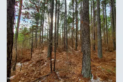 36 Rosefield Court, Pittsboro, NC 27312 - Photo 13