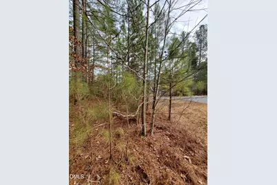 36 Rosefield Court, Pittsboro, NC 27312 - Photo 7