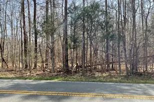 00 Turner Rd, Mebane, NC 27302 - Photo 13