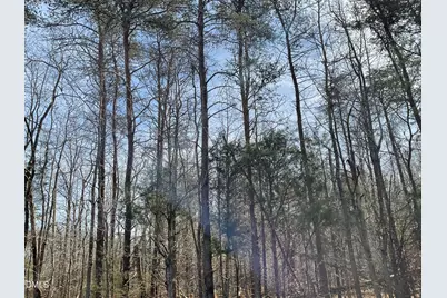 00 Turner  Road, Mebane, NC 27302 - Photo 3