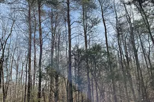 00 Turner Rd, Mebane, NC 27302 - Photo 3