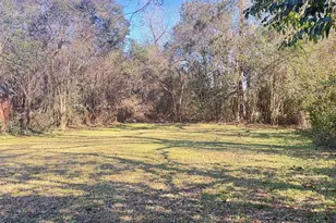 1311 Branch St, Rocky Mount, NC 27801 - Photo 3