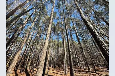 1012 S Halifax Road, Rocky Mount, NC 27803 - Photo 15