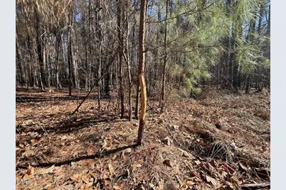 1012 S Halifax Road, Rocky Mount, NC 27803 - Photo 21