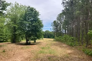 319 Vanstore Dr, Fuquay Varina, NC 27526 - Photo 3