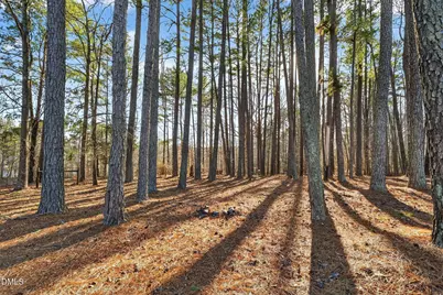 10748 Patrician Way, Zebulon, NC 27597 - Photo 41