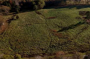 247 Gilliland Rd, Siler City, NC 27344 - Photo 33