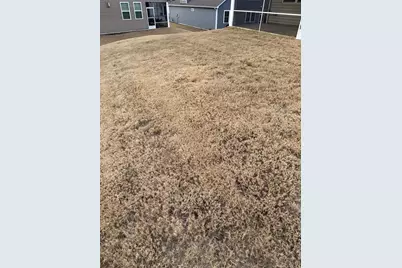 1311 Nichols Creek Road, Durham, NC 27703 - Photo 37