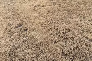 1311 Nichols Crk Rd, Durham, NC 27703 - Photo 37