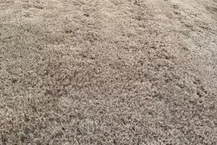 1311 Nichols Crk Rd, Durham, NC 27703 - Photo 35