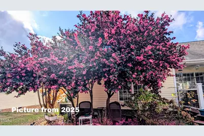 601 Watch Hill Lane, Wake Forest, NC 27587 - Photo 35