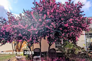 601 Watch Hill Ln, Wake Forest, NC 27587 - Photo 35