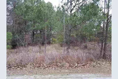 2908 Satori Way, Apex, NC 27539 - Photo 3