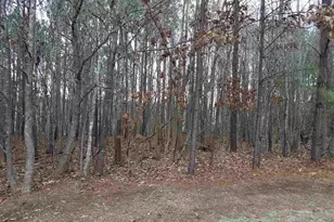 2908 Satori Way, Apex, NC 27539 - Photo 1