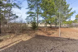 54 Wildflower Cir, Clayton, NC 27520 - Photo 29