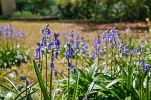 412 E Park St, Cary, NC 27511 - Photo 45