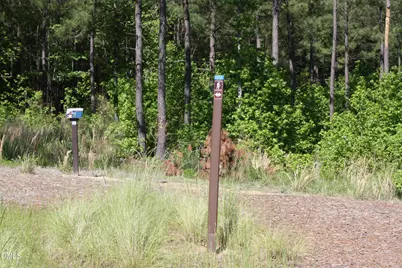 22 Treywood Lane, Chapel Hill, NC 27516 - Photo 75