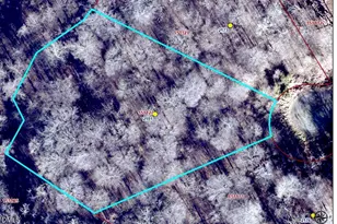 2181 Hawk Crest Ln, Graham, NC 27253 - Photo 1