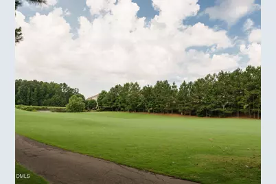 11637 Broadfield Court, Raleigh, NC 27617 - Photo 47