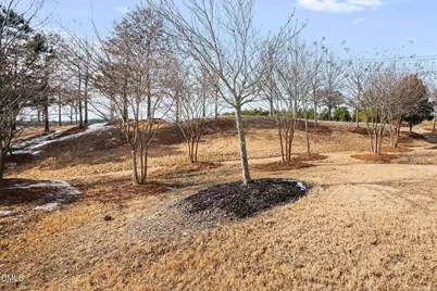 119 Dare Pines Way, Durham, NC 27703 - Photo 29