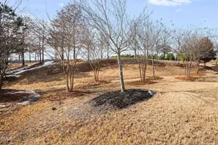 119 Dare Pines Way, Durham, NC 27703 - Photo 29