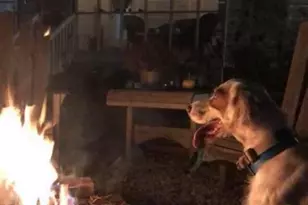 115 Hunters Walk Ln, Clinton, NC 28328 - Photo 39