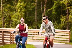 24 Quietwood Wy, Pittsboro, NC 27312 - Photo 41