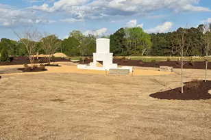 76 Oyster Tabby Dr, Lillington, NC 27546 - Photo 27