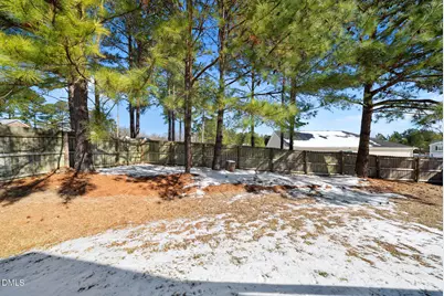 4320 Lenity Lane, Sanford, NC 27332 - Photo 29