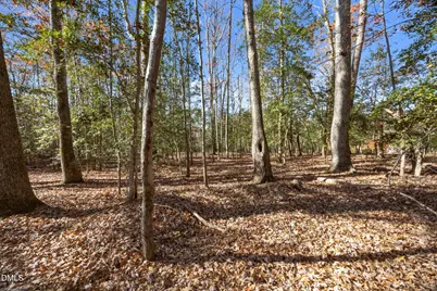 104 Nations Cove, Louisburg, NC 27549 - Photo 3