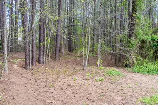 457 Albemarle Dr, Clayton, NC 27527 - Photo 33