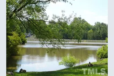 240 Standish Drive, Chapel Hill, NC 27517 - Photo 31