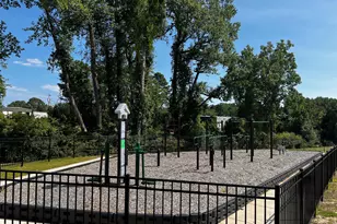 761 Dorset Strm Dr, Fuquay Varina, NC 27526 - Photo 47