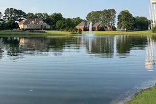 197 W Paige Wynd Dr, Angier, NC 27501 - Photo 53